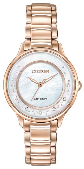 Citizen Eco-Drive Circle of Time Ladies Watch