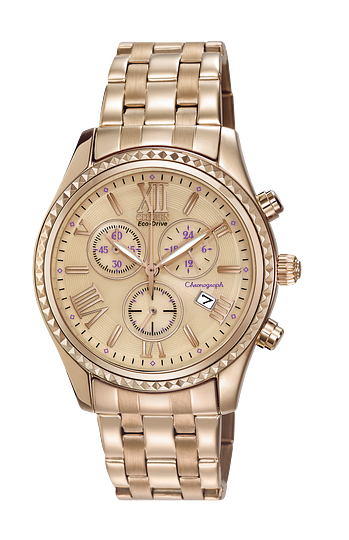 Citizen Eco-Drive Drive Collection Ladies Watch